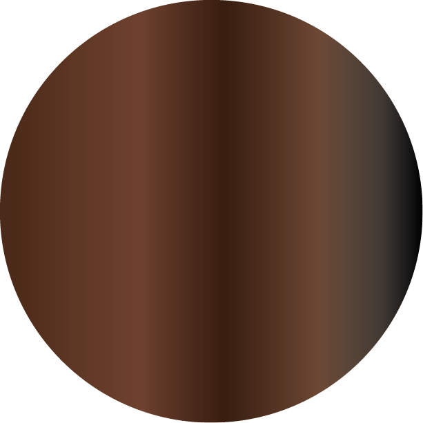 Vitruvio - Immagine 9